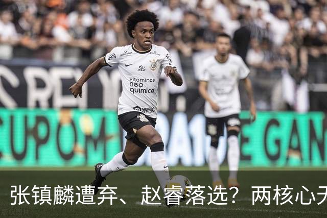 张镇麟遭弃、赵睿落选？两核心无缘国家队，中国男篮大换血为哪般